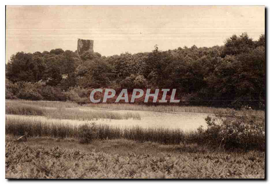 Château de la Motte — ruines sur fond de forêt — éditeur inconnu